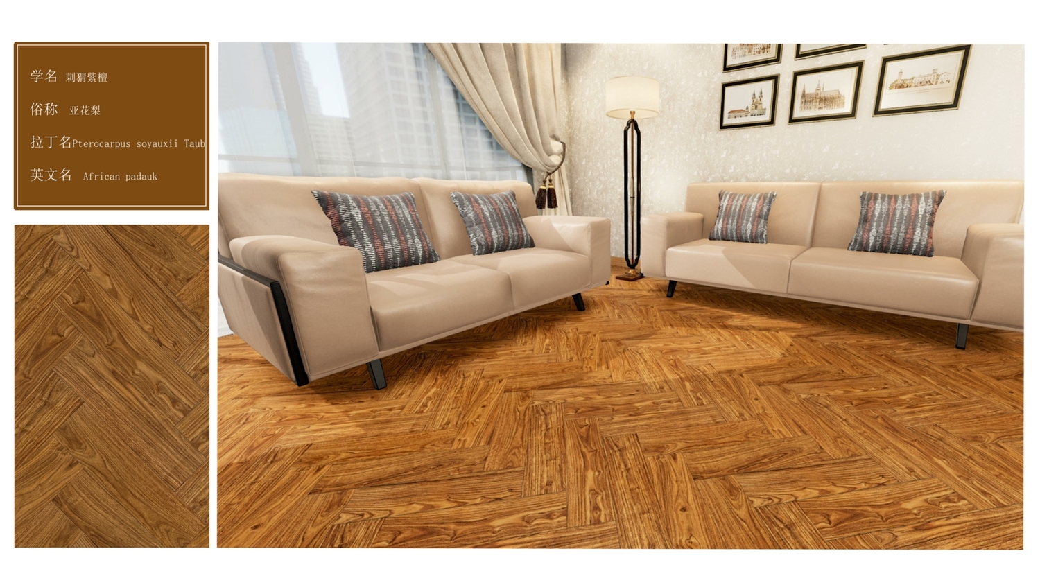 亚花梨x_画板 1(1).jpg